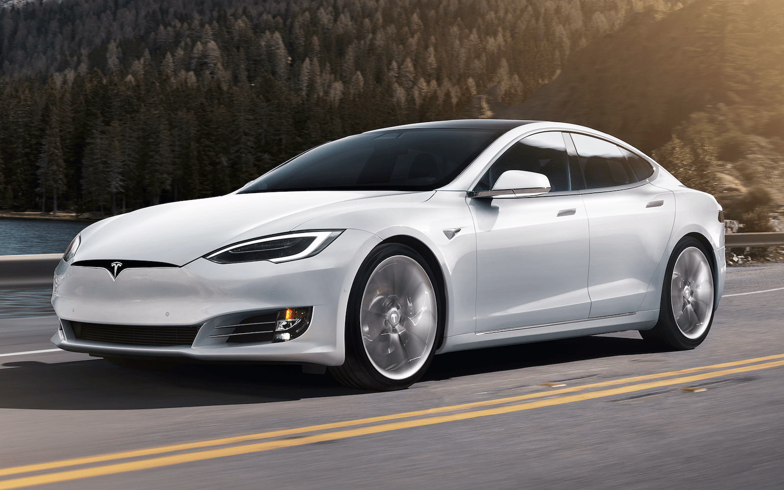 Tesla s online price